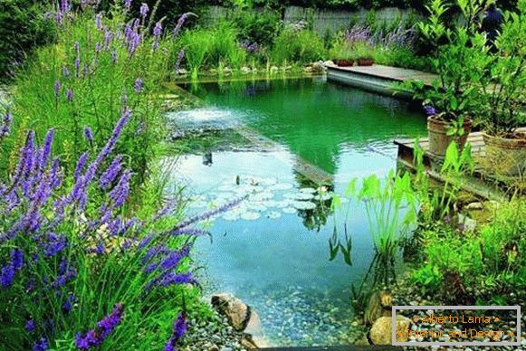 Krásna fotografia bazénov - rybník na plávanie vo dvore