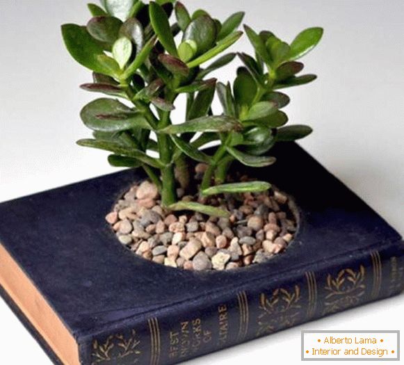 Hrniec rastlín z knihy