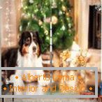 Pes na vianočný stromček na závese