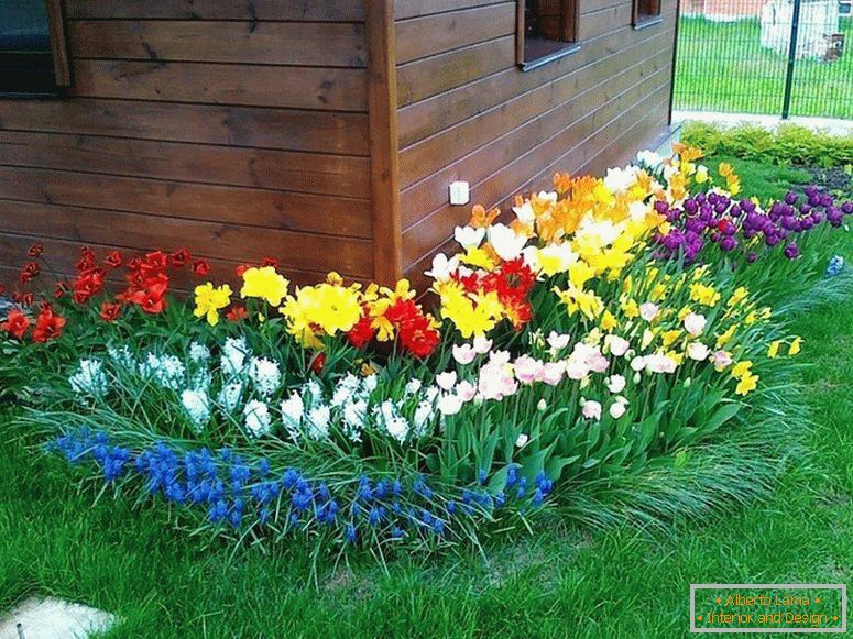 Predná záhrada s jasnými kvetmi pred domom