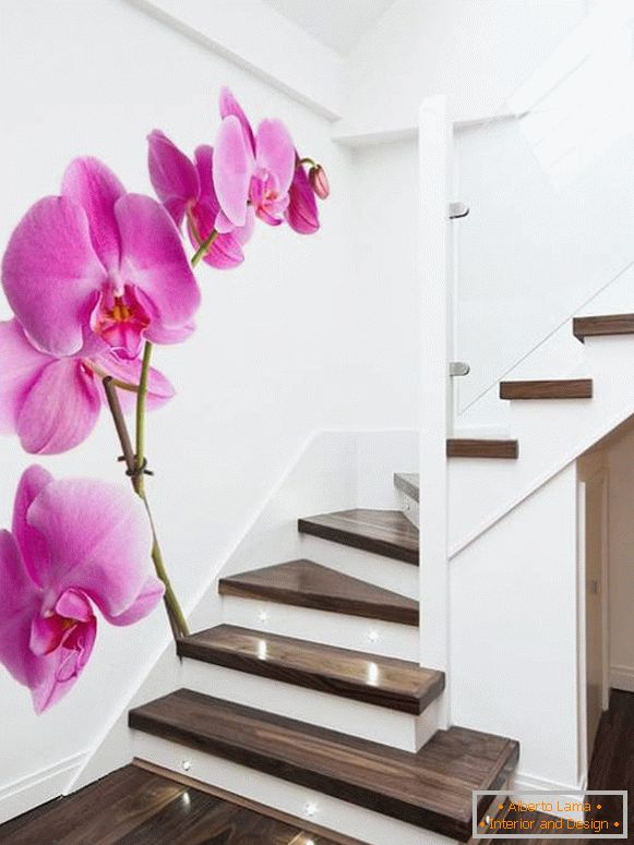 Fotografie orchideí na schodoch