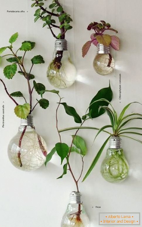 Ako zaujímavé dať interiérové ​​rastliny
