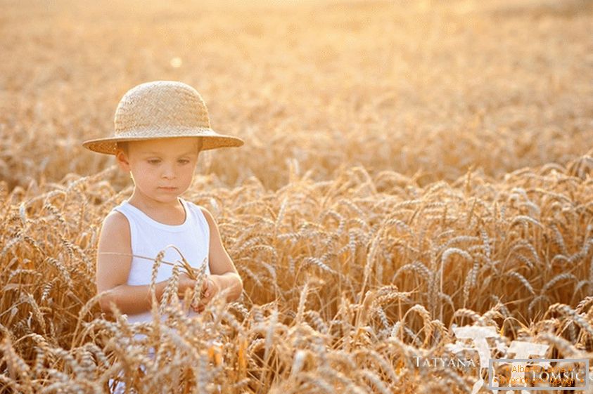 Dieťa v pšeničnom poli