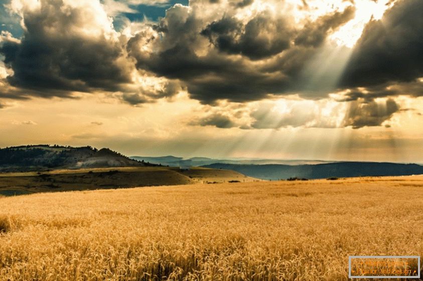 Slnko prechádza cez oblaky cez pšeničné pole
