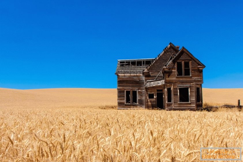 Starý dom v pšeničnom poli