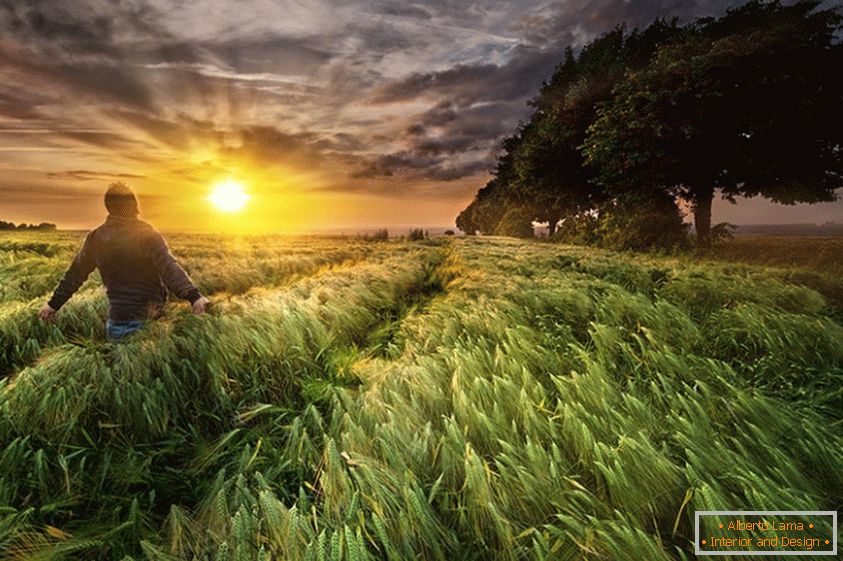 Muž v pšeničnom poli, fotograf Paul Wozniak